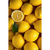 Kit 3 Quadros Decorativos Food e Drinks Kiwi, Limão e Mamão - Outlet dos Quadros | Maior fábrica da América Latina