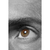 Kit 2 Quadros Decorativos Profissões Oftalmologista Exame de Vista Olhos - loja online