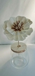 Varilla tapioca - MAGNOLIA