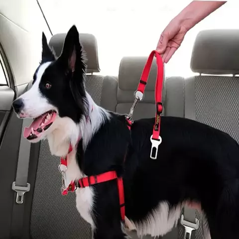 Cinto Segurança Pet Coleira Universal Para Cachorro E Gato Passeio