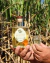 Kit 2 700ml - Cachaça Altarugio - Cachaça Altarugio