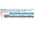 Meia Esportiva UNISSEX 3/4 Panturrilha 20-30mmHg Média Comp PERFORMANCE 520N-AD Sigvaris na internet