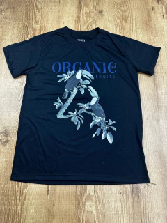 T-Shirt Organic Fruits na internet