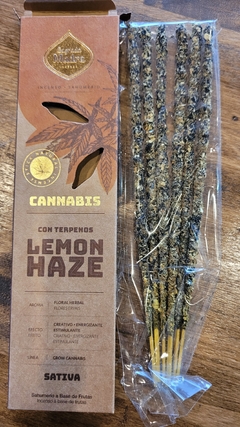 Cannabis (kush-haze) - Zumpá Fusión