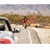Kit lanternas Bontrager Ion 100 R/Flare R - loja online