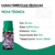 Óleo Essencial Gerânio África 5ml na internet