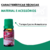 Óleo Essencial Gerânio Bourbon 5ml - loja online