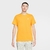 Camiseta Nike Básica