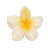 Maxi caiman flor hawaiana