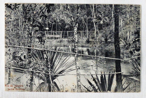 Cartão Postal Antigo - Jardim Botânico - Rio de Janeiro - Com data manuscrita de 1906