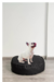 Almohadon circular exterior Mascotas en internet