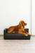 Sillón Cama para Mascotas sin patas TAPIZADO GRIS OSCURO - comprar online