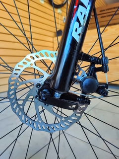 Raleigh 2.0 R29" en internet