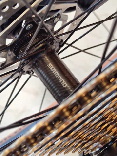 Raleigh 5.0 R29" Monoplato - tienda online