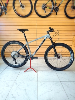 Raleigh 8.0 R29" Carbono
