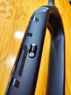 Imagen de Horquilla Full Carbono R29" - eje pasante 100mm