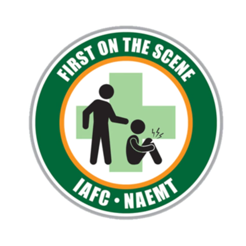 Curso Fots - comprar online