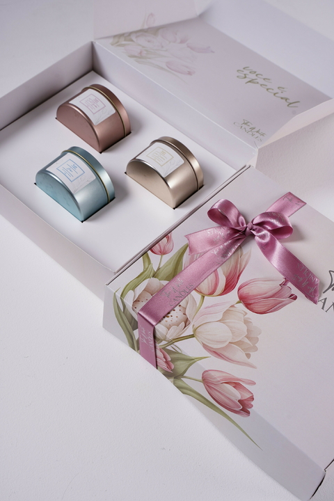 Kit Especial Colors