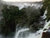 El bosque atlántico, una mirada desde Puerto Bemberg - comprar online