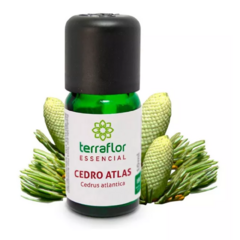 Óleo Essencial de Cedro Atlas 10ml - Terra Flor