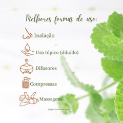 Óleo Essencial de Patchouli Dark - 10ml - Terra Flor - comprar online
