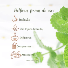 Sinergia Sinus Flor - 10ml - Terra Flor - comprar online