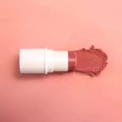 BBS 4X1 BioBio Blush, Batom e sombra FPS 63 Pessego Rose - Karina Pimenta - Maternidade Atípica, Autismo, TDAH, Neurodiverdade