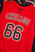 Regata Chicago Bulls - loja online