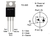 Transistor IRLZ44 Transistor MOSFET 60V 50A Canal N - comprar en línea