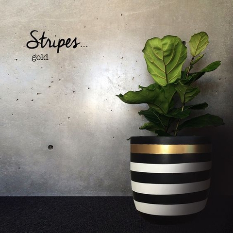 Banner de la categoría Macetas Deco