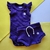 CONJUNTO BODY CANELADO MANGA PRINCESA E SHORT ROXO BEBE CHEFINHO - comprar online