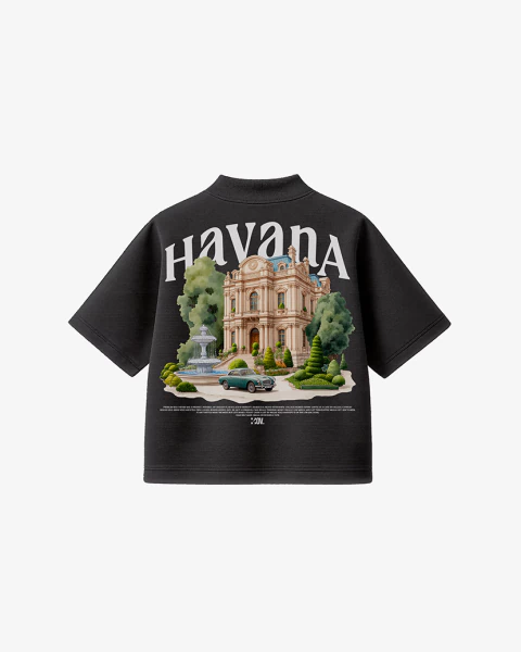 Camiseta Heavy Boxy - Havana - comprar online