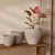Kit Cachepots em Cimento - 3 Peças - comprar online