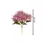 Lírio Mini Rosa Antigo - comprar online