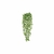 Folhagem Lambari Pendurar Real Toque X228 Verde Creme 1m