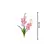 Orquídea Rosa - comprar online