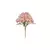 Astromelia com Fita Rosa Outono