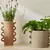 Cachepot em Cerâmica Coleção Orgânico - comprar online