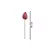 Antúrio Real Toque Rosa - comprar online