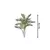 Palmeira Areca Real Toque Verde - comprar online