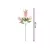Astilbe Ocre - comprar online