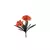Amarilis com Powder Laranja