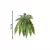 Samambaia Pendurar Real Verde 78cm - comprar online