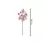 Mamona Rosa - comprar online