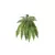 Samambaia Pendurar Real Verde 78cm