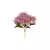 Lírio Mini Rosa Antigo