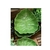Prato Folha Banana Leaf - 3872 - comprar online