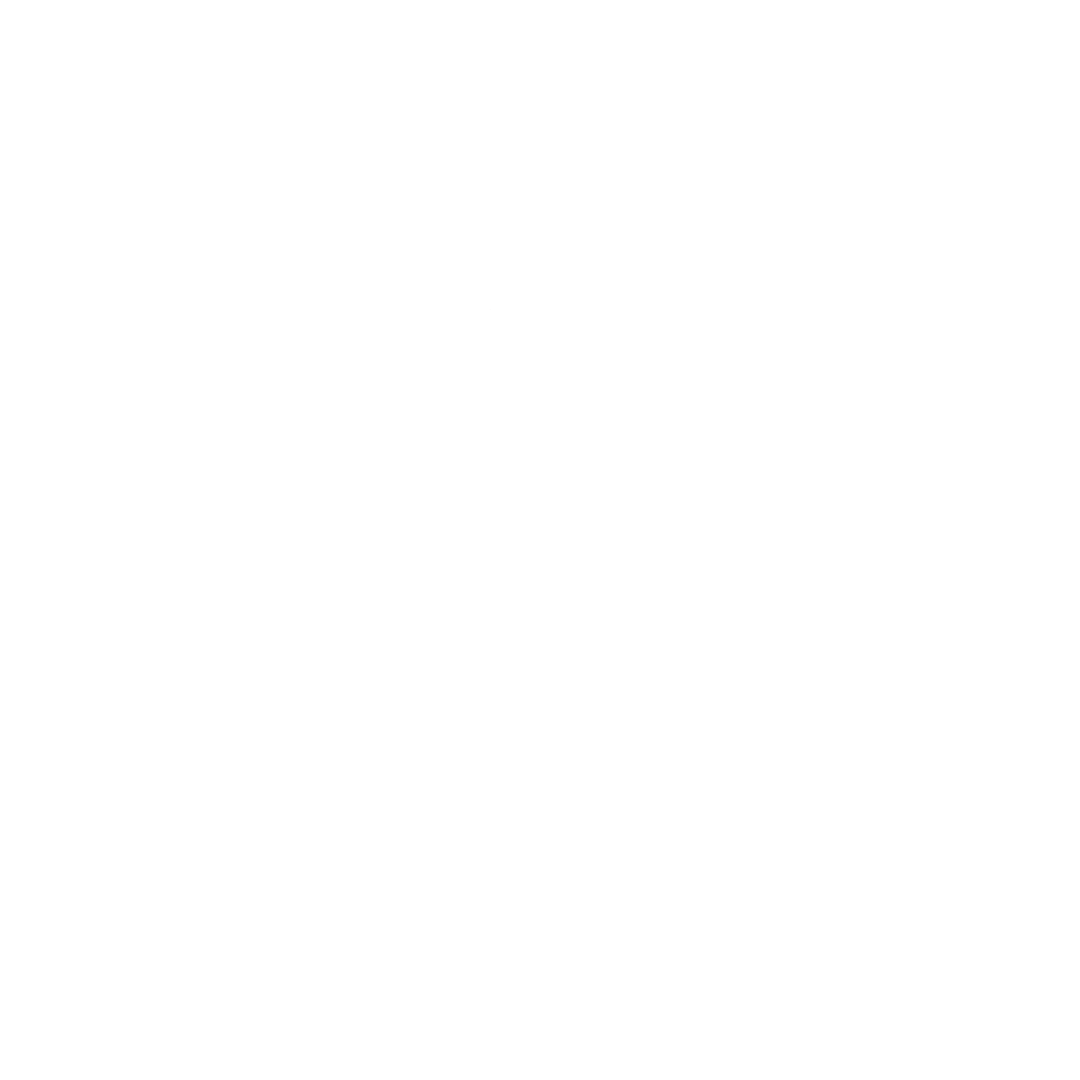 Spider Mayorista