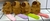 Brasalete Capybara Colores X1