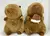 Peluche Capybara 35cm X1